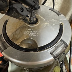 水槽セット一式　生体付き
の画像