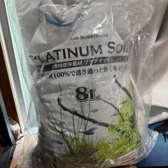 水槽セット一式　生体付き
の画像