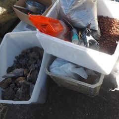 水槽用石、軽石、溶岩石、色々の画像