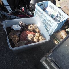 水槽用石、軽石、溶岩石、色々の画像