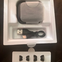 【本日限定出品】【Anker】sound core P30i イヤホン の画像