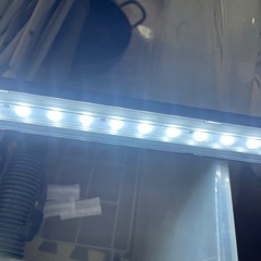 gex power slim 450/600 クリアLEDの画像