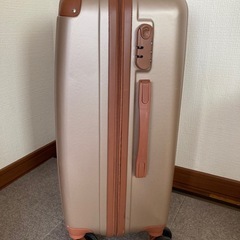 キャリーバッグの画像