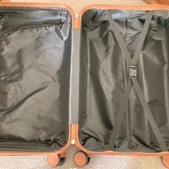 キャリーバッグの画像