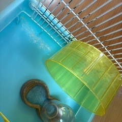 ハムスターケージの画像