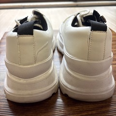 1PIU1UGUALE3の画像