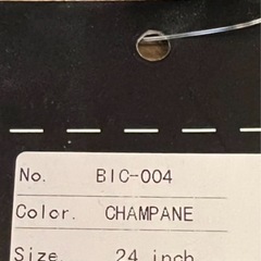 キャリーバッグの画像