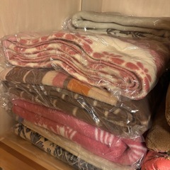 掛布団、毛布の画像