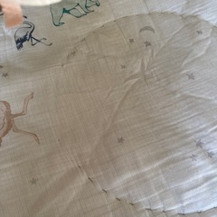 エイデン&アネイ aden+anais ベビージムの画像