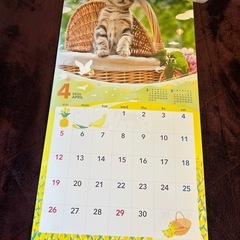 2026 ワンニャンカレンダーの画像