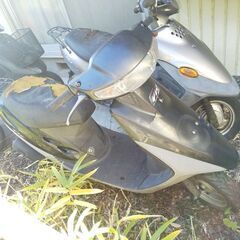 🌈激安💦ホンダ🍊スーパーディオ🍇早い者勝ち🍒の画像