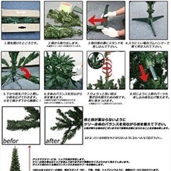 クリスマスツリー+オーナメントの画像