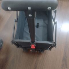 未使用バギーカート黒色の画像