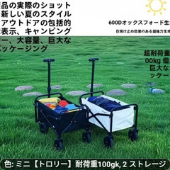 未使用バギーカート黒色の画像