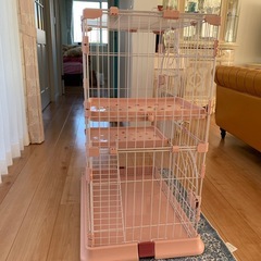 キャットゲージ2段の画像