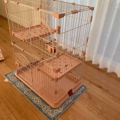 キャットゲージ2段の画像