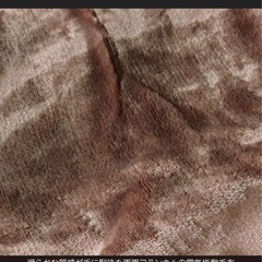 MORITA　電気掛敷き毛布　ホットブランケット フランネル毛布 滑らか の画像