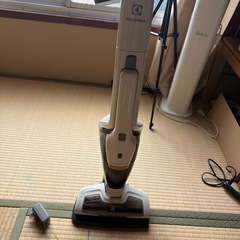 掃除機▶︎ジャンク品 (使用できますが5分くらいのみ稼働)の画像