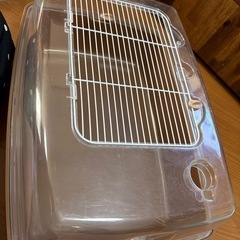 ケージの画像