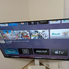 TVボードセット ORION 50インチ 4K チューナーレステレビ SAUD501 の画像