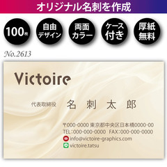 名刺印刷 100枚 両面 フルカラー 紙ケース付 No.2…
