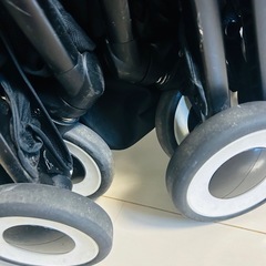 サイベックスリベルの画像