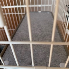 キャットゲージ の画像