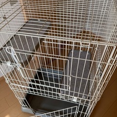 キャットゲージ の画像