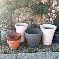 譲ります☆植木鉢　の画像