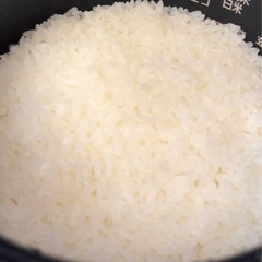 令和7年須賀川産新米コシヒカリ5キロ（白米）の画像