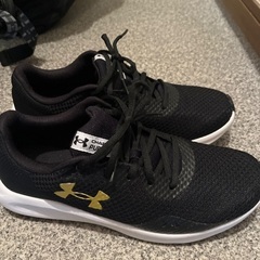 アンダーアーマー  UAチャージド パスート3 26cm 中古の画像