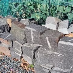 無料!!②ガーデニング資材 石材 DIY 花壇 石垣 庭園 アプローチ 自然石 天然石 ピンコロ石 栗石 割栗石　の画像