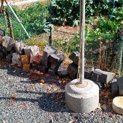 無料!!②ガーデニング資材 石材 DIY 花壇 石垣 庭園 アプローチ 自然石 天然石 ピンコロ石 栗石 割栗石　の画像