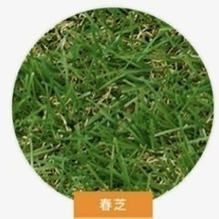 人工芝シート　新品の画像