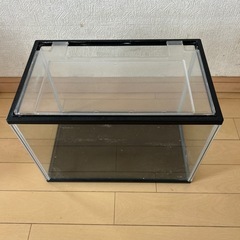 蓋付き水槽　Aの画像