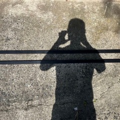 TERZO ルーフキャリアセットの画像