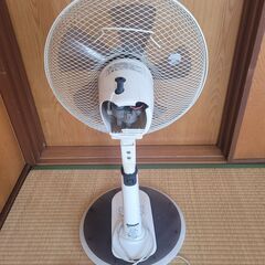 扇風機の画像