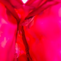 MOOMIN リトルミイ 小物入れ ポーチの画像