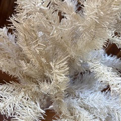 クリスマスツリーの画像