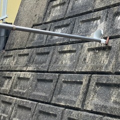 物干し竿、長め伸縮可能の画像