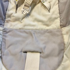 コンビ、ネムリラの画像