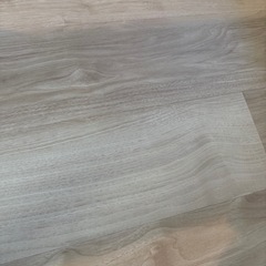 東リピタフィー   の画像