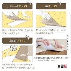 東リピタフィー   の画像