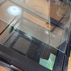 （取引中）ガラスケージの画像