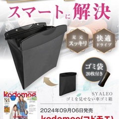 新品未使用　　ヘッドレストクッション　首枕　車　収納ケース　スリムタイプの画像