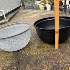 ジェックス GEX メダカ元気 メダカのための飼育鉢の画像