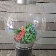 Oase バイオーブ　アクリル水槽の画像