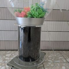 Oase バイオーブ　アクリル水槽の画像