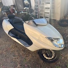 乗って帰れます　マグザムの画像