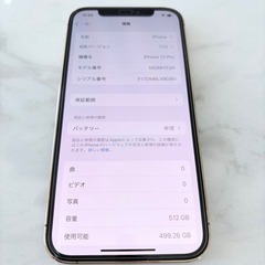 『超希少』Apple iPhone 12 pro 512GB iOS 17.0の画像